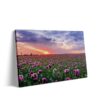 natuur canvas