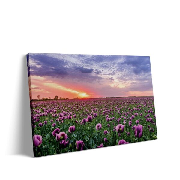 natuur canvas
