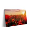natuur canvas
